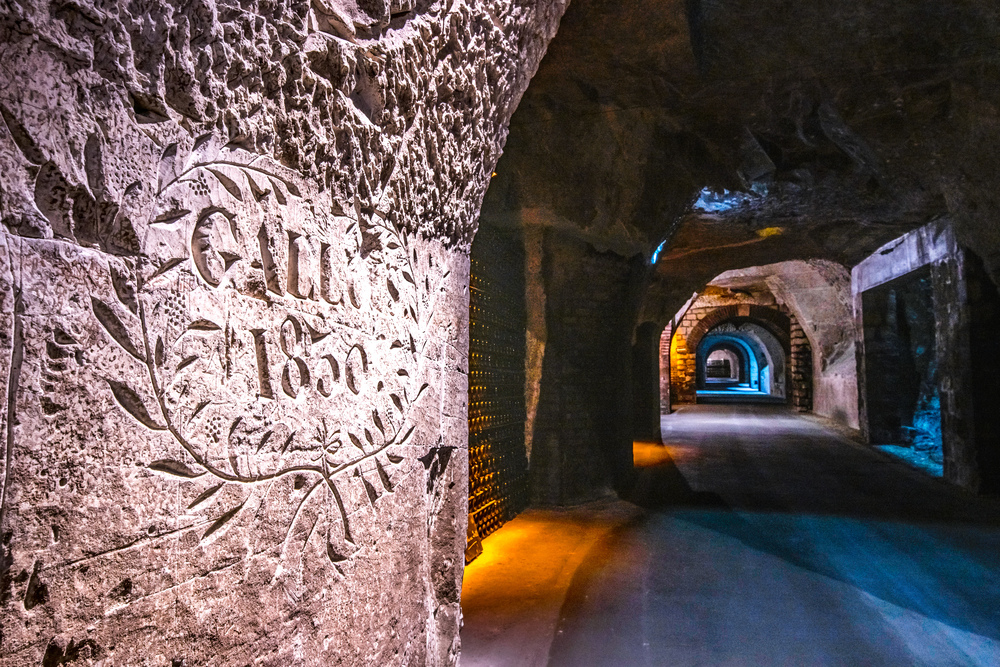 Visite de cave de Châlons © Mickael Boudot